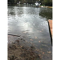 Virginia Beach King Tide image